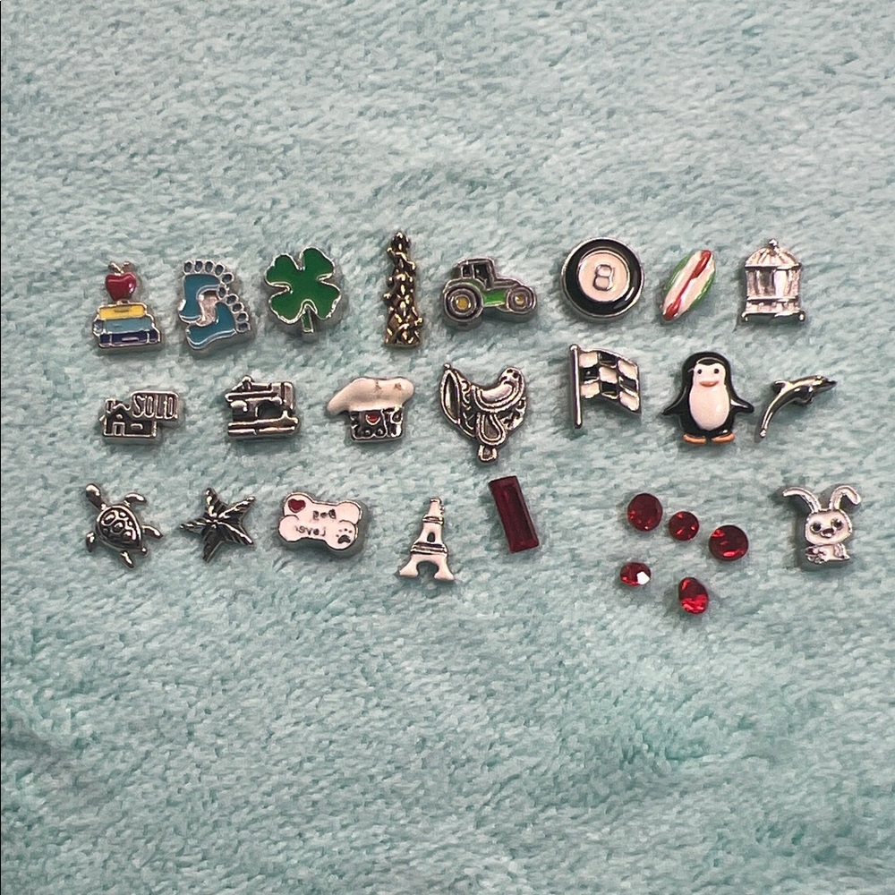 Floating Locket Charms